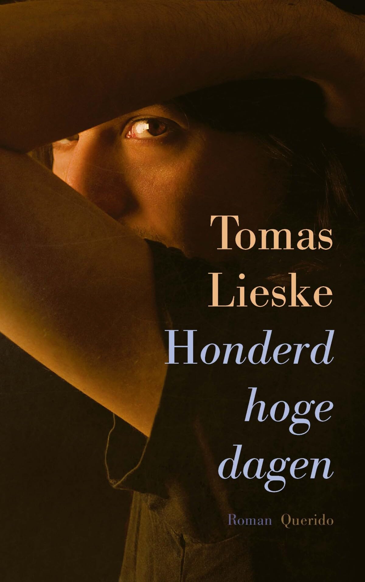 Honderd hoge dagen: roman book