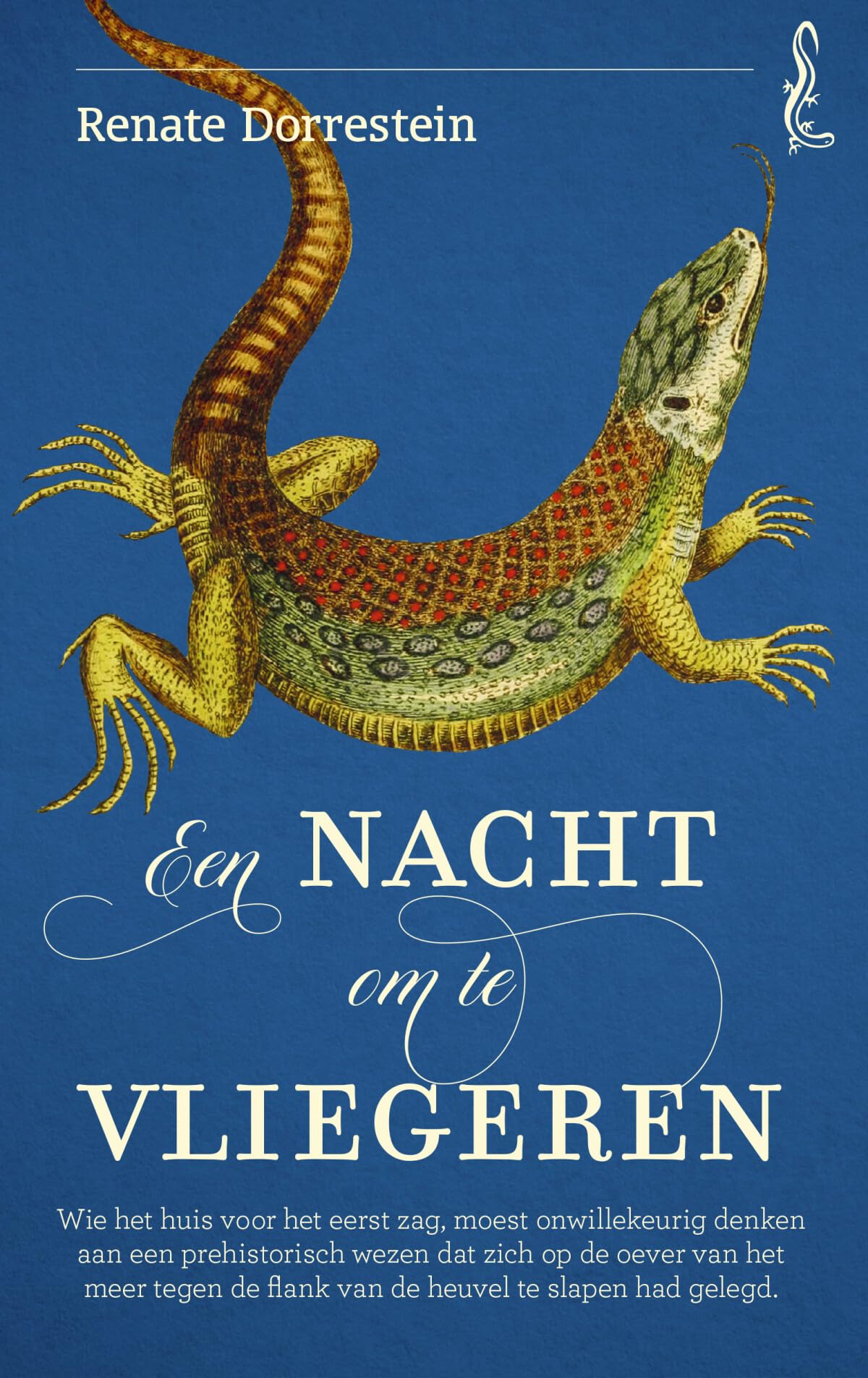 Een nacht om te vliegeren (Salamander, 7) Contemporary literature