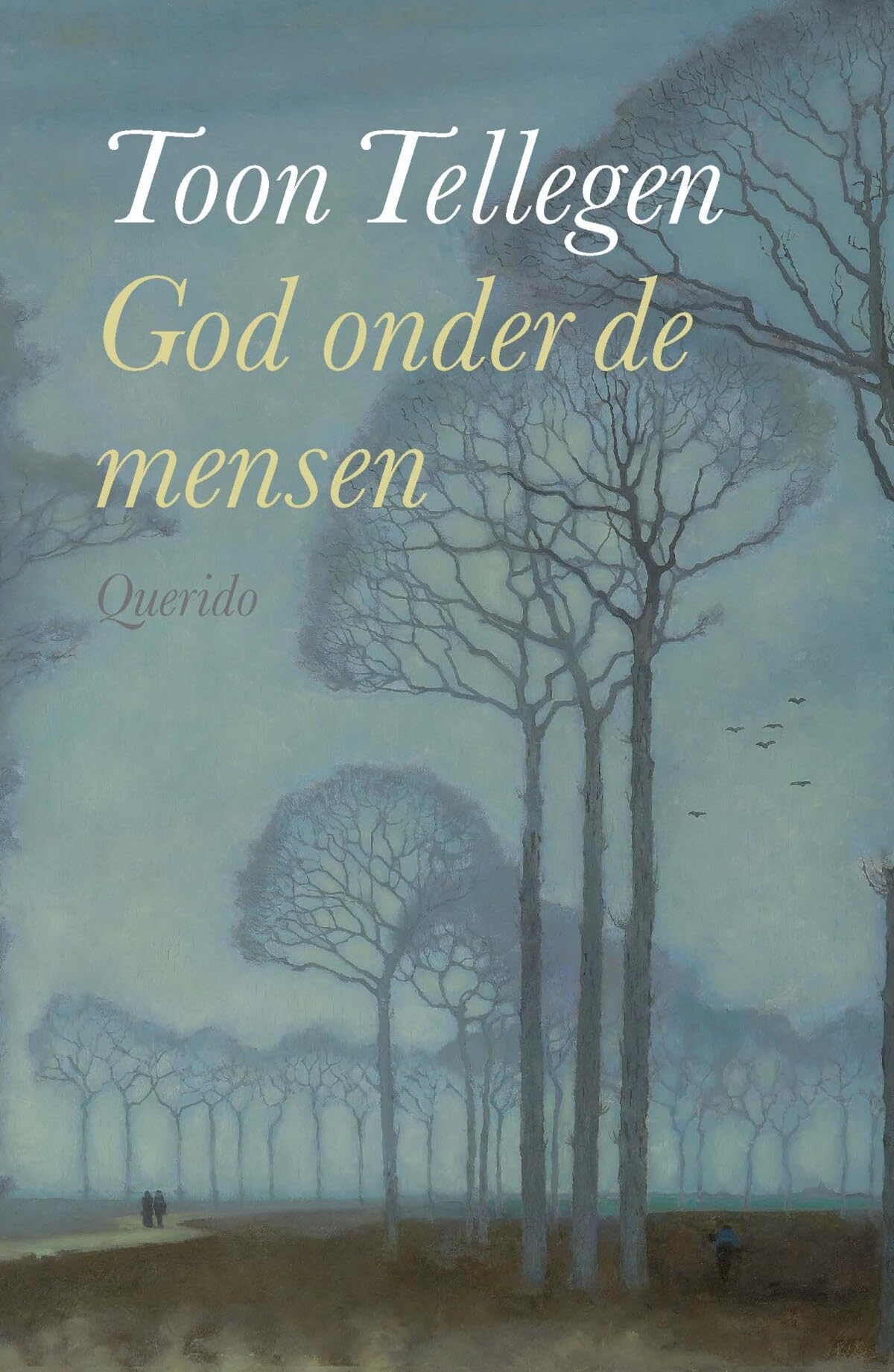 God onder de mensen: verhalen en aantekeningen over God, wie hij ook is book