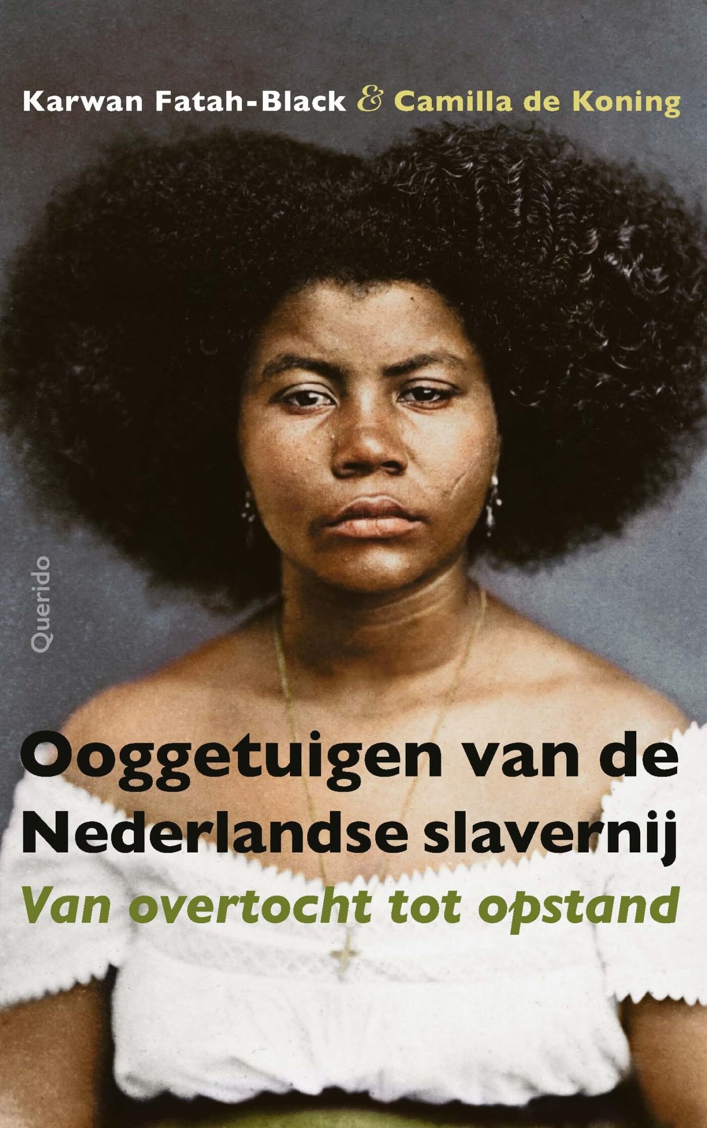 Ooggetuigen van de Nederlandse slavernij: van overtocht tot opstand book