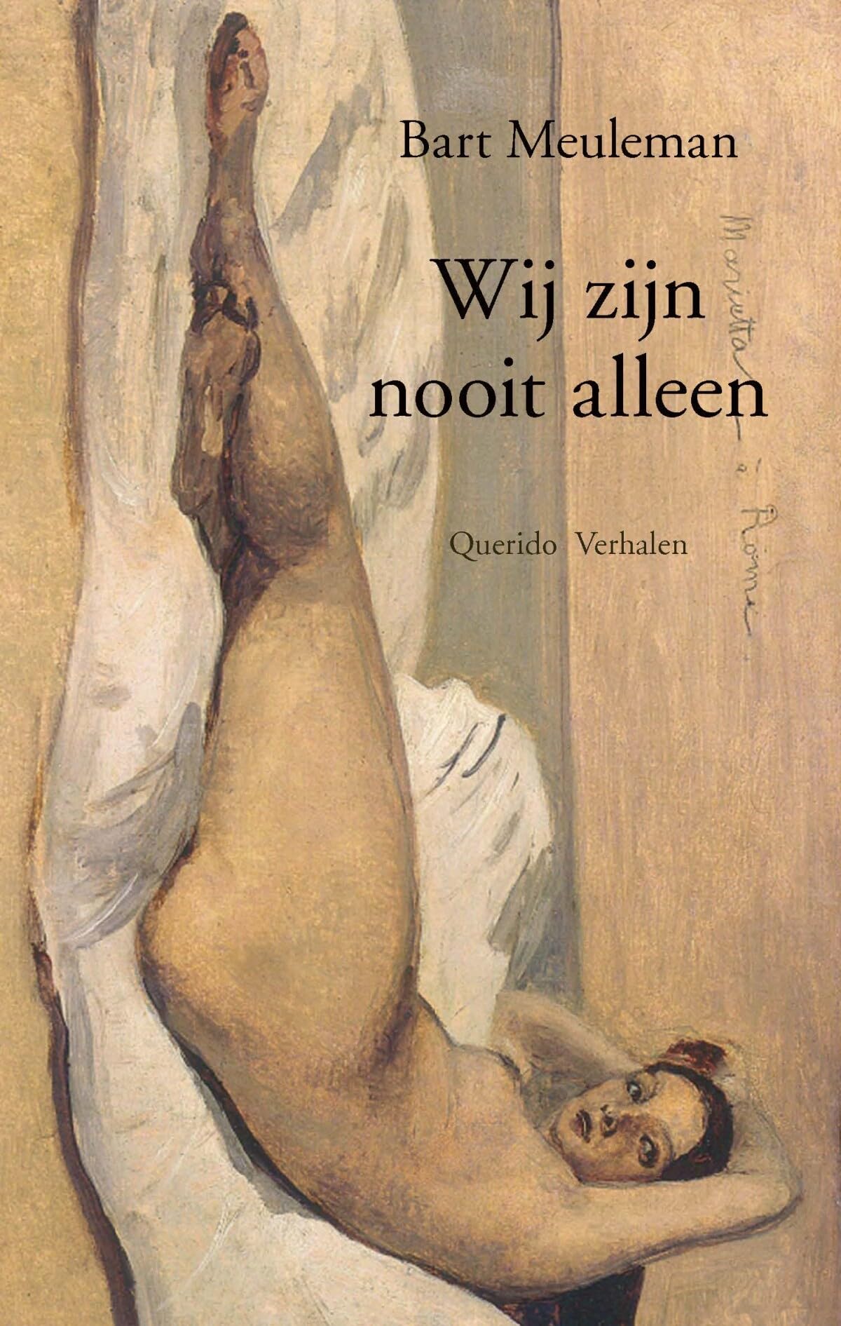 Wij zijn nooit alleen: verhalen Contemporary literature