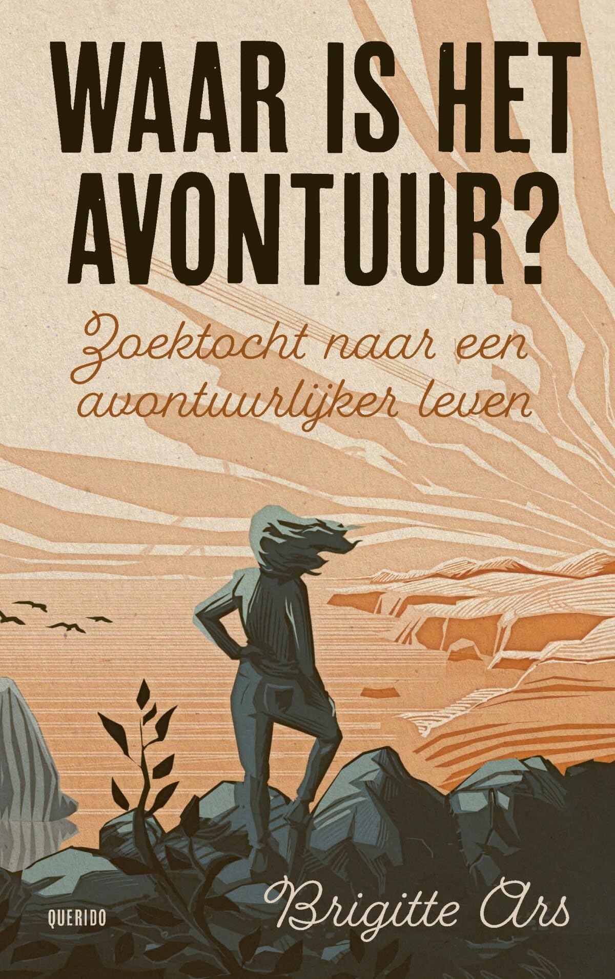 Waar is het avontuur?: zoektocht naar een avontuurlijker leven book
