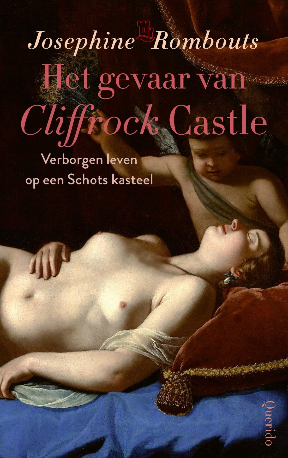Het gevaar van Cliffrock Castle: verborgen leven op een Schots kasteel (Cliffrock Castle, 4) Contemporary literature