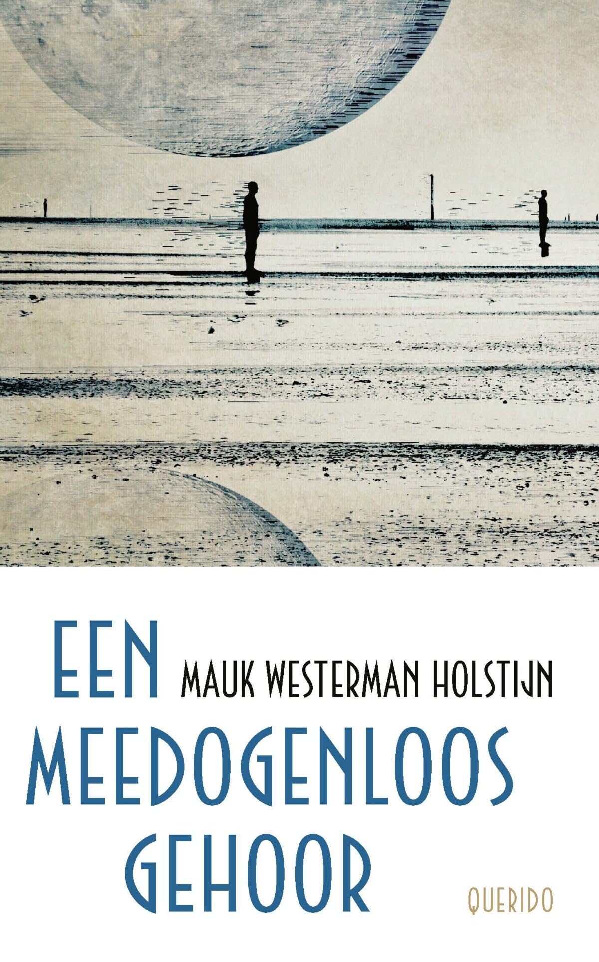 Een meedogenloos gehoor book