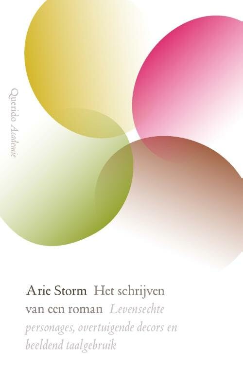 Het schrijven van een roman: levensechte personages, overtuigende decors en beeldend taalgebruik book