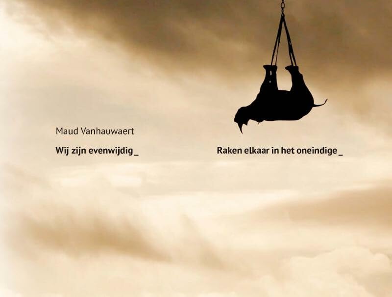 Wij zijn evenwijdig book