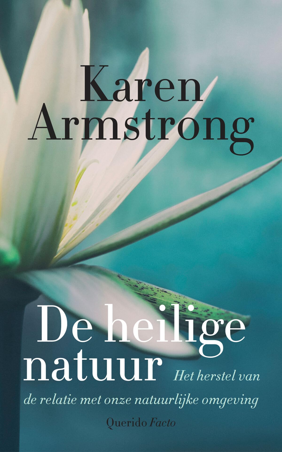 De heilige natuur: hoe we de relatie met onze natuurlijke omgeving kunnen herstellen Philosophy