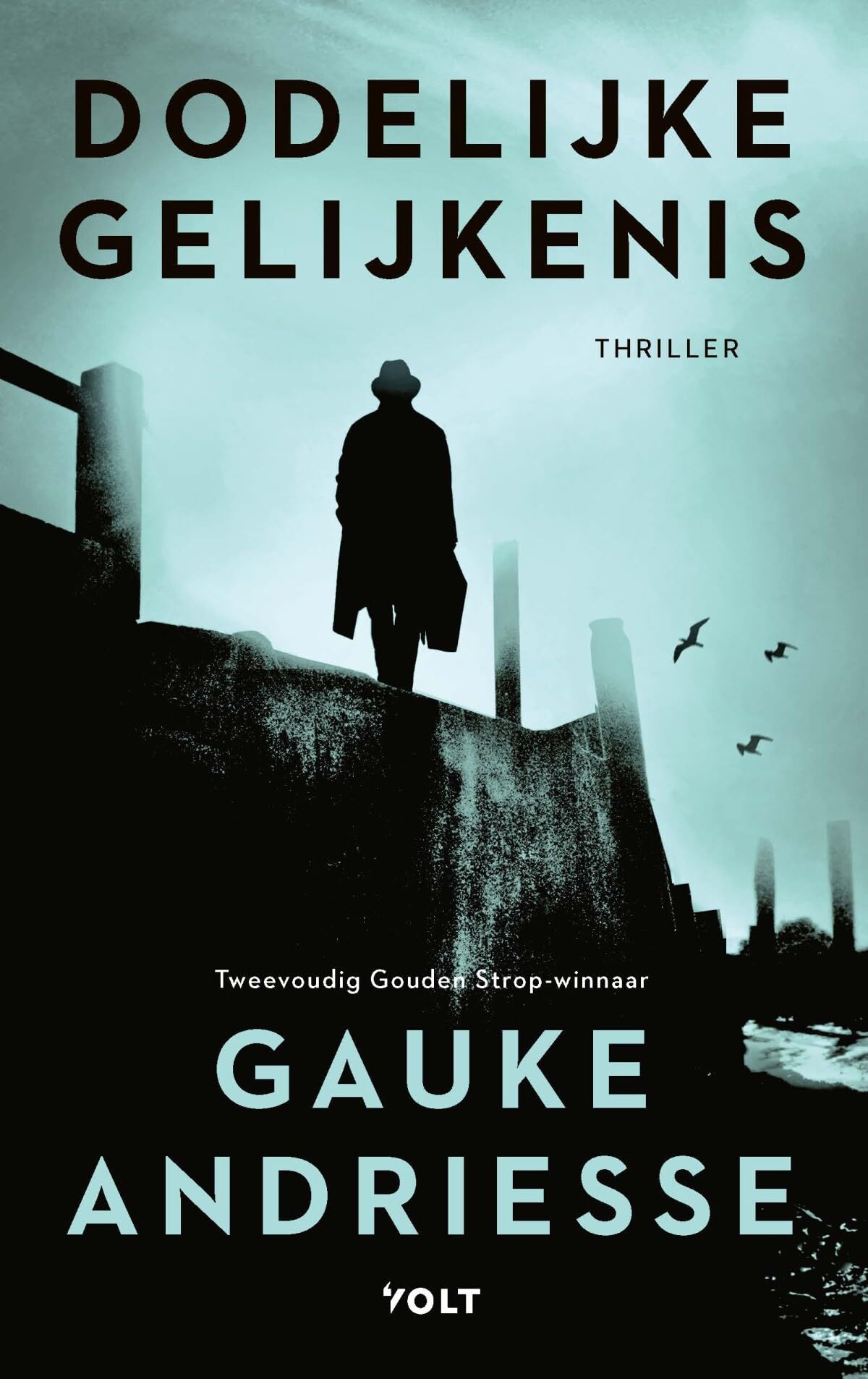 Dodelijke gelijkenis (Leo Boorman, 1) book