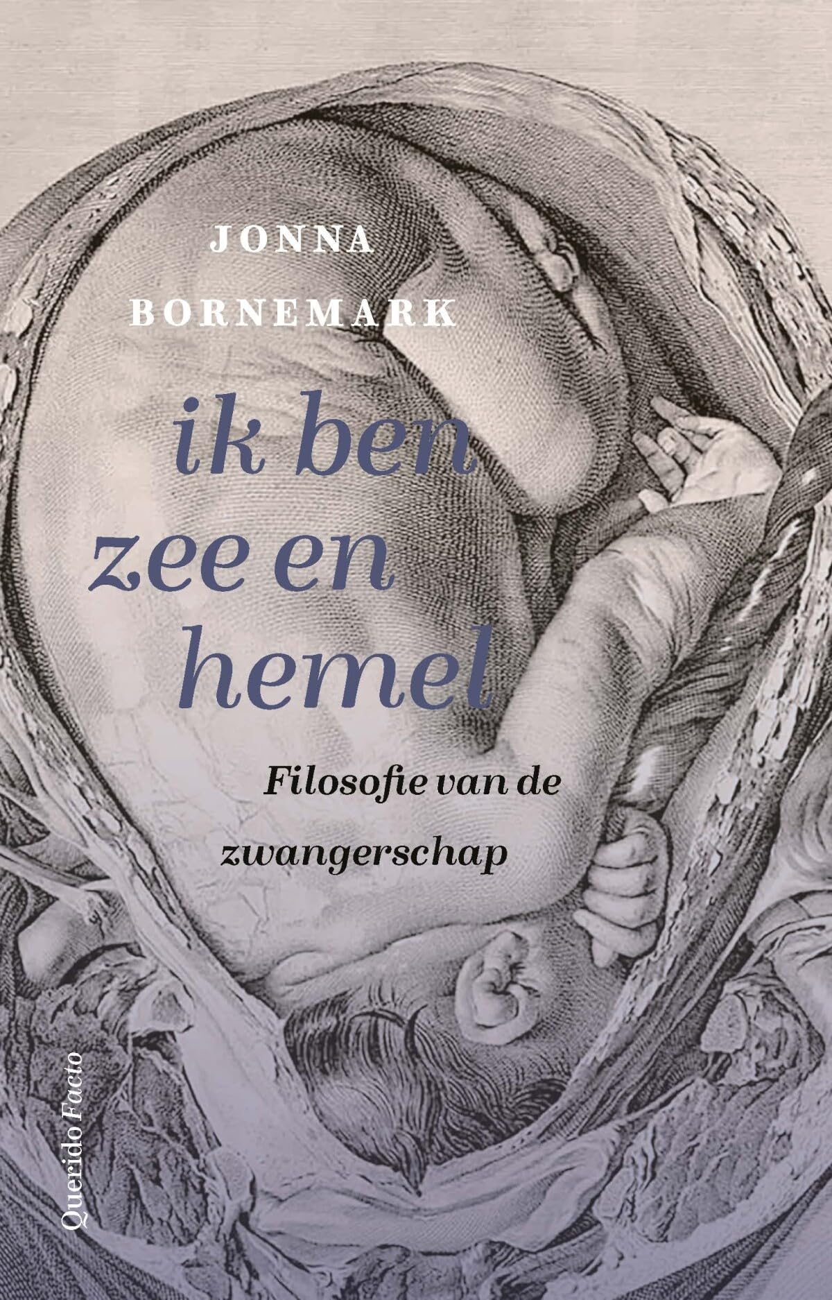 Ik ben zee en hemel: een filosofisch onderzoek van zwangerschap, leven en de grenzen van het ik book