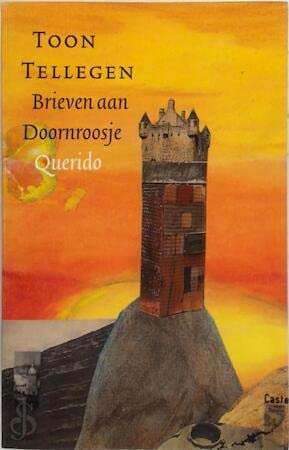 Brieven aan Doornroosje book