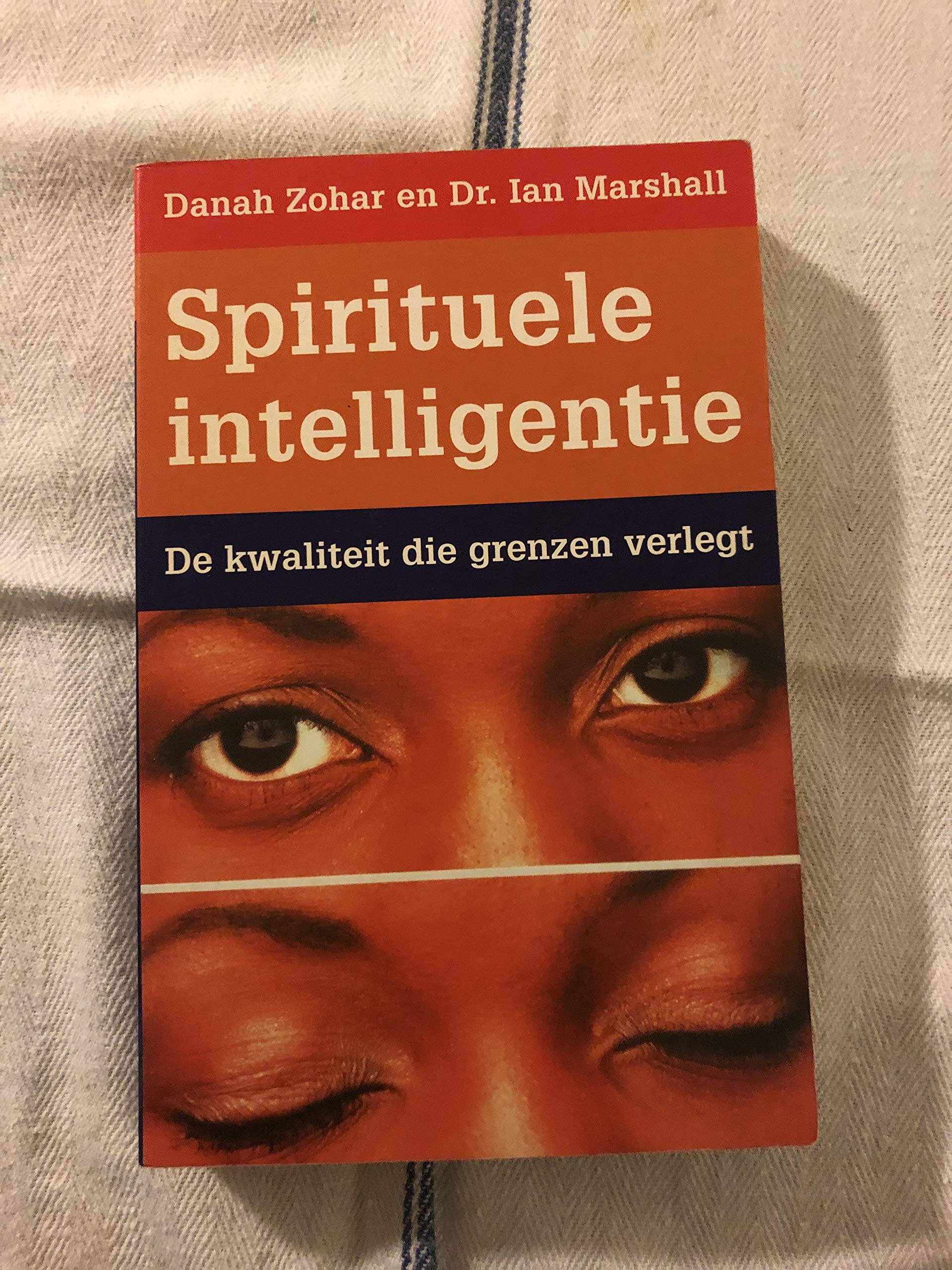 Spirituele intelligentie: de kwaliteit die grenzen verlegt book