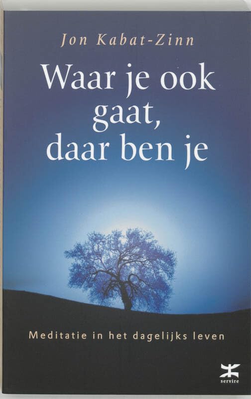 Waar je ook gaat, daar ben je: meditatie in het dagelijks leven book