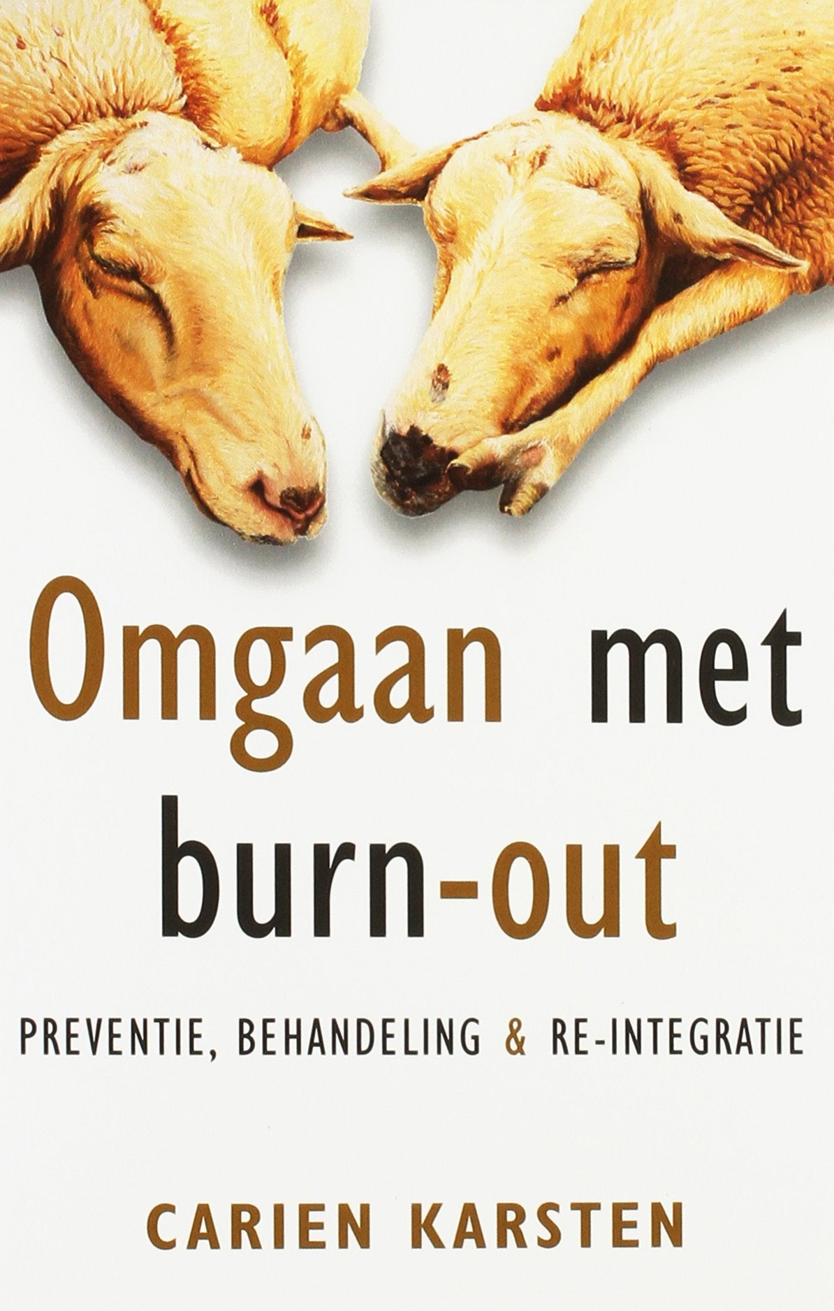 Omgaan met burn-out: preventie, behandeling en re-integratie book