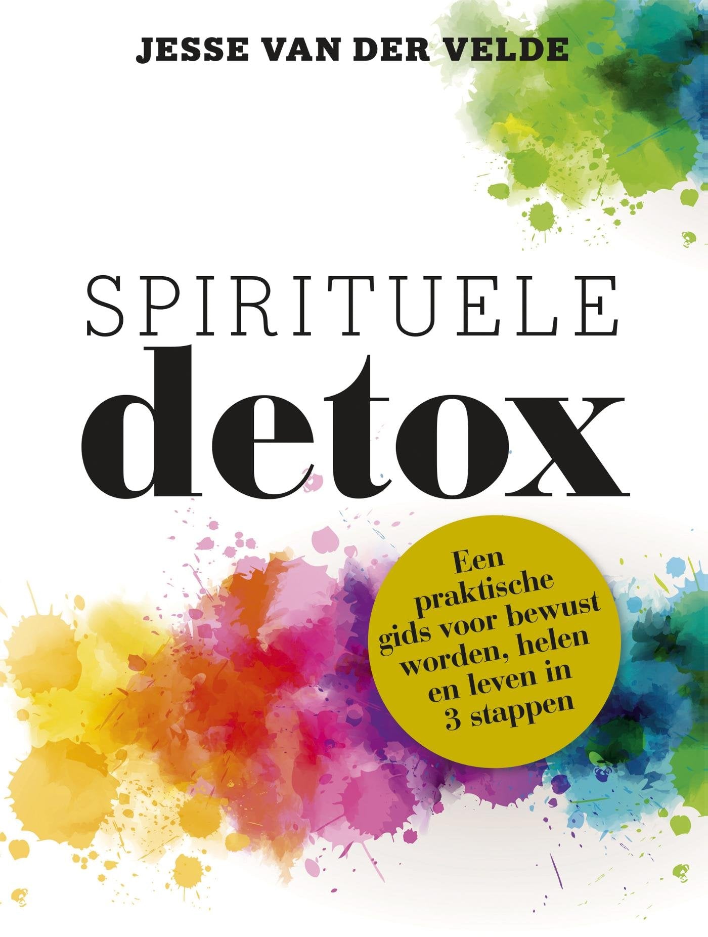 Spirituele detox: een praktische gids voor bewustworden, helen en leven in 3 stappen book
