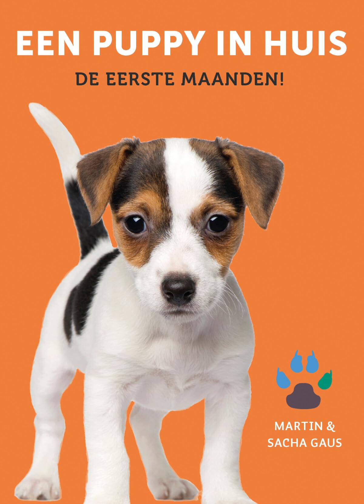 Een puppy in huis: De eerste maanden! Mathematics