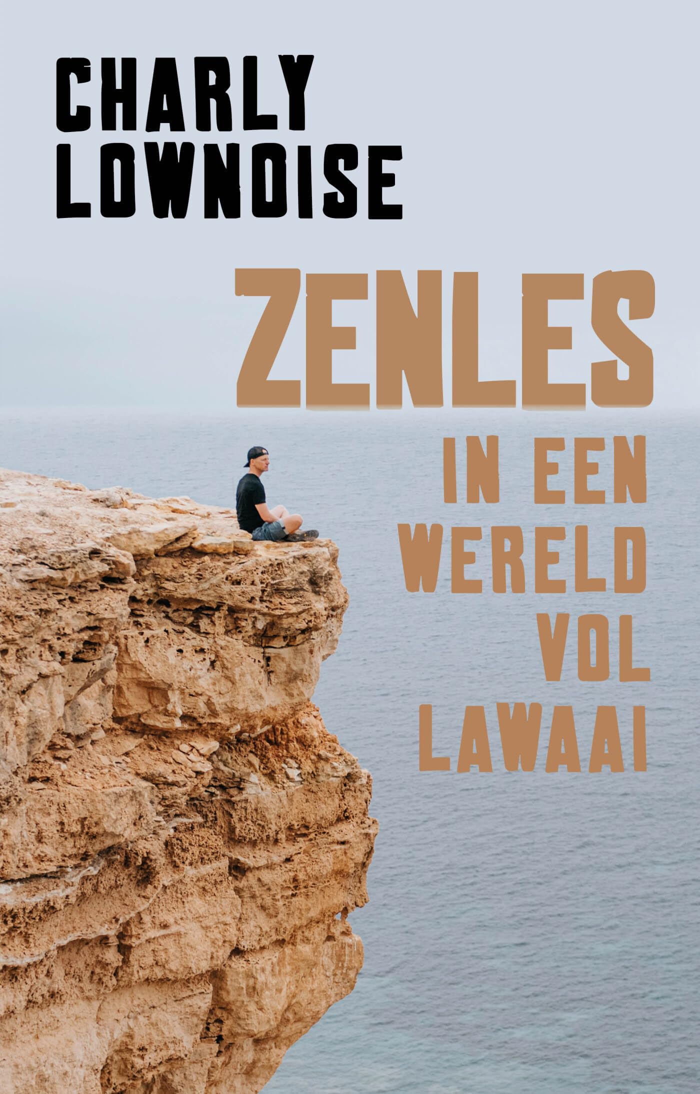 Zenles in een wereld vol lawaai book