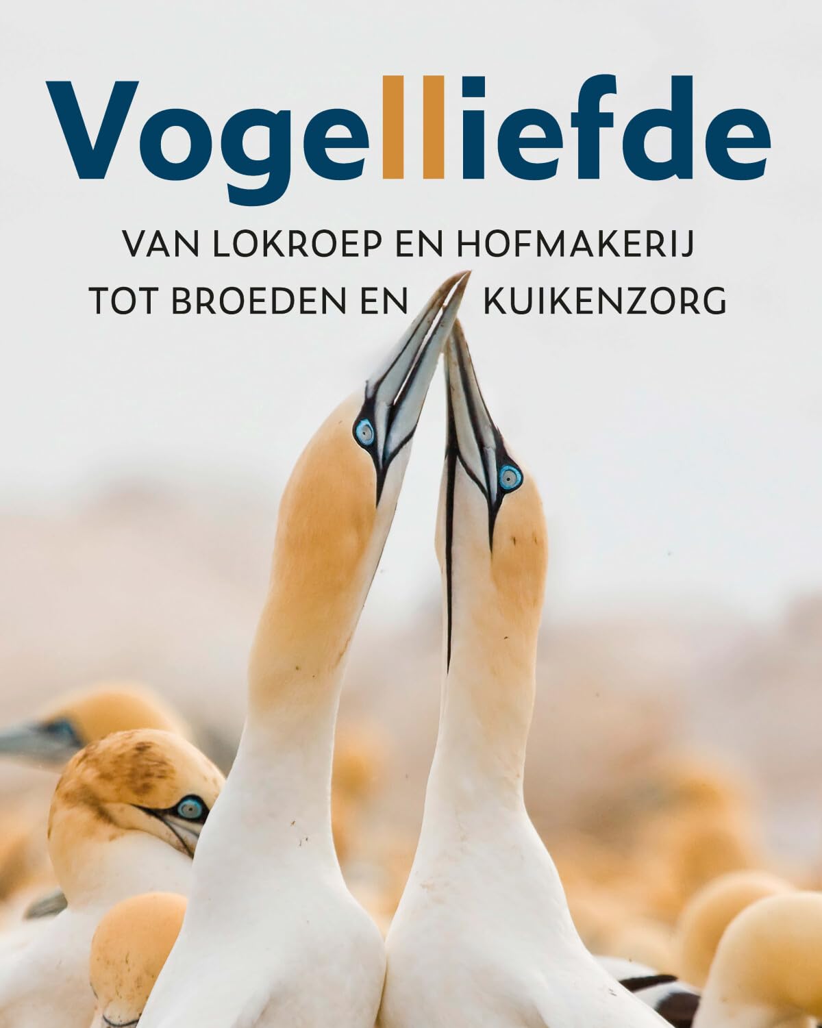 Vogelliefde: van lokroep en hofmakerij tot broeden en kuikenzorg Mathematics
