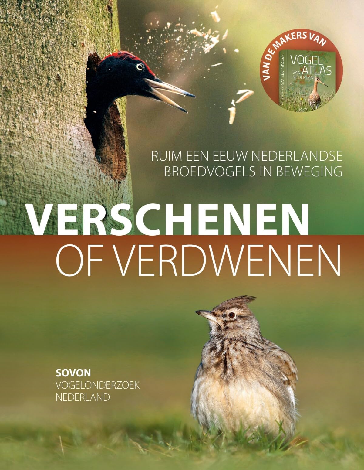 Verschenen of verdwenen: ruim een eeuw Nederlandse broedvogels in beweging Mathematics