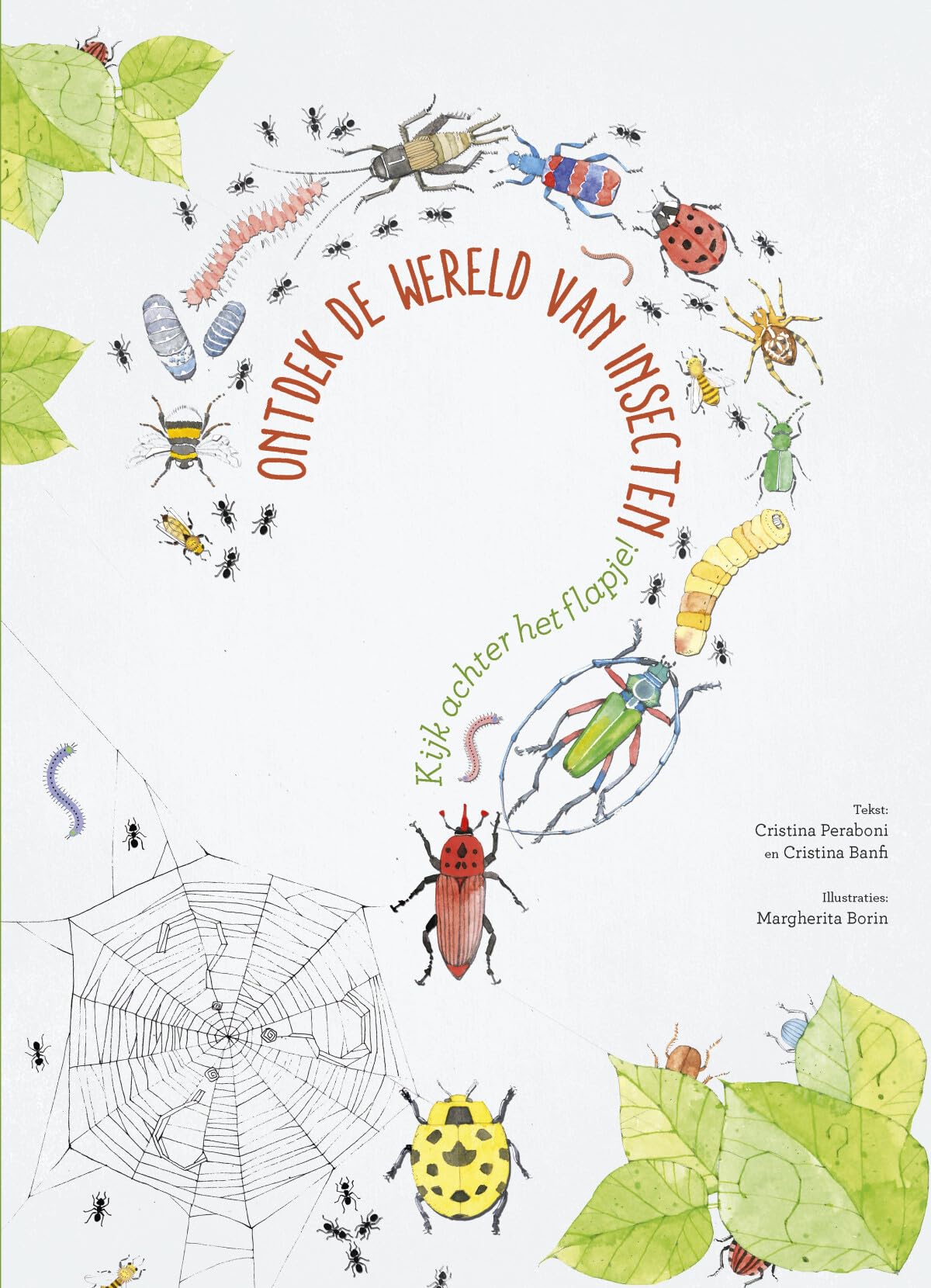 Ontdek de wereld van insecten: kijk achter het flapje book