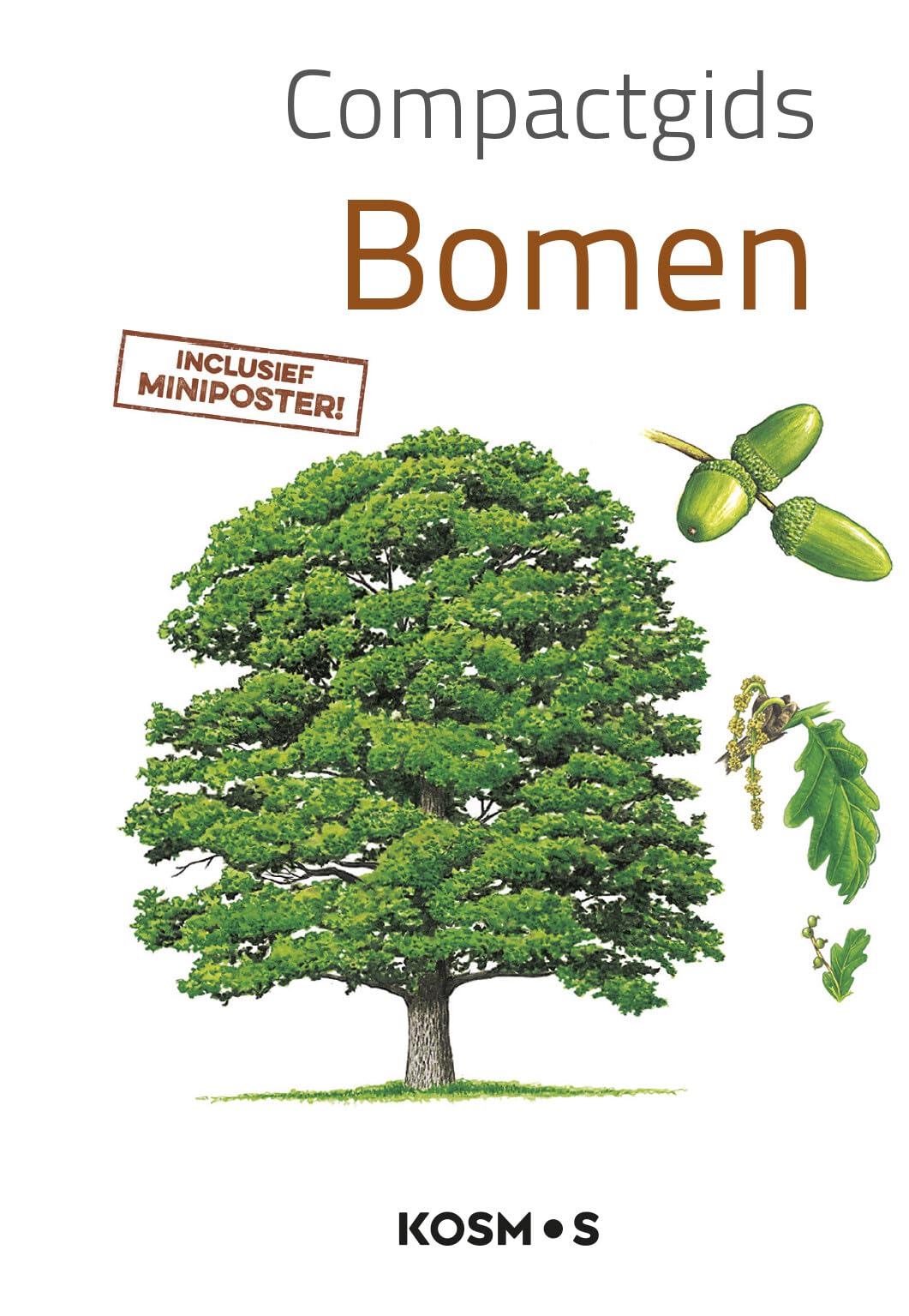 Bomen: Inclusief miniposter (Compactgidsen) Geology & Geography