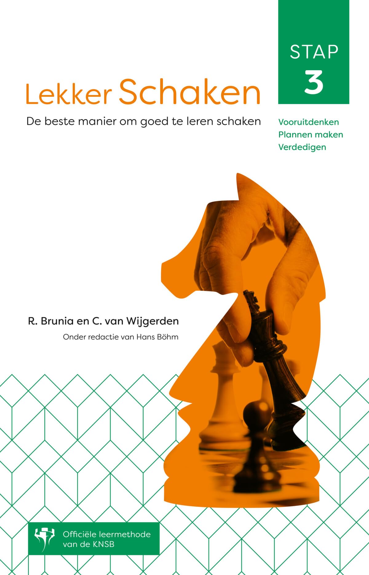 Lekker schaken: de beste manier om goed te leren schaken Leisure & Fun