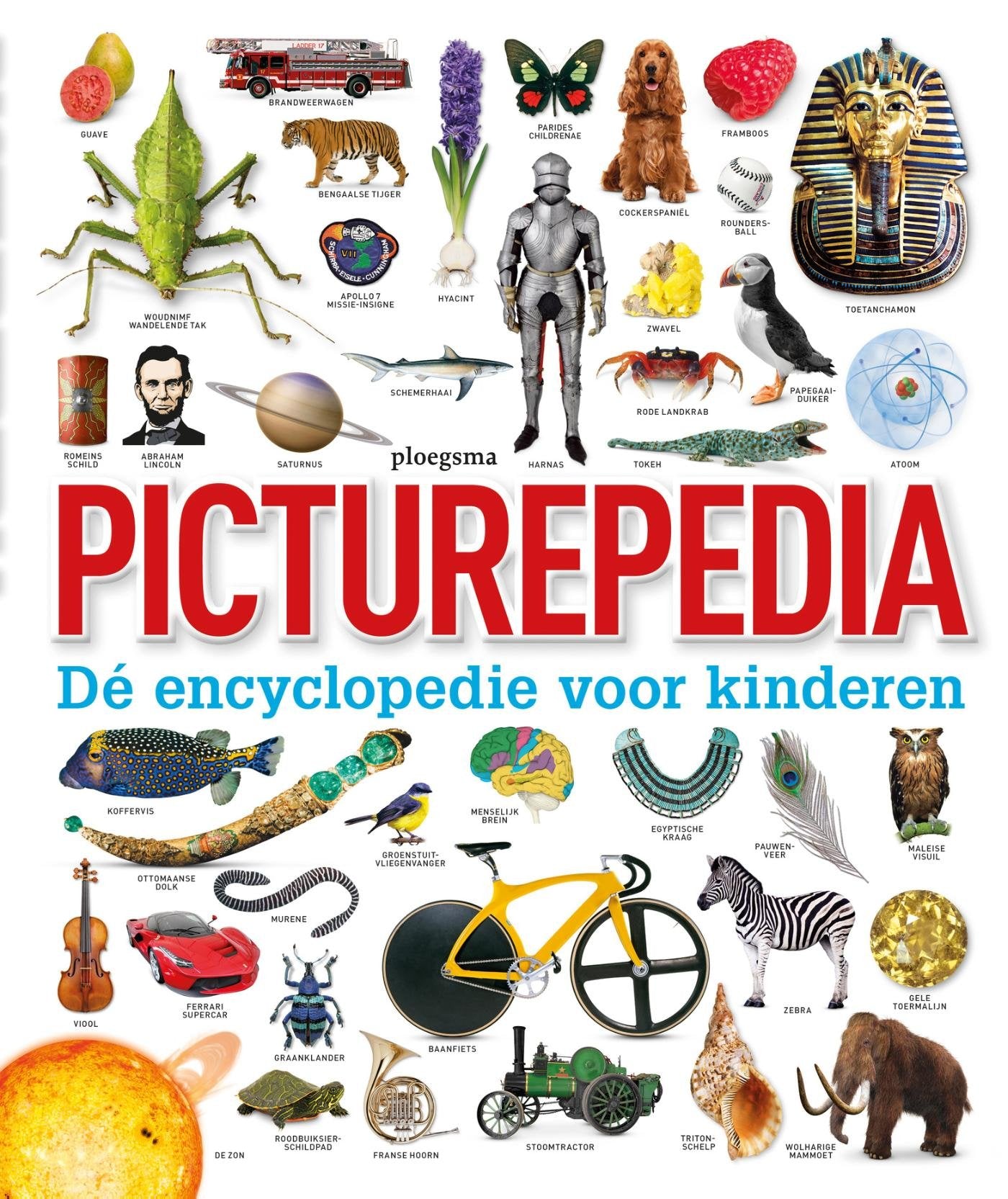 Picturepedia: dé encyclopedie voor kinderen book