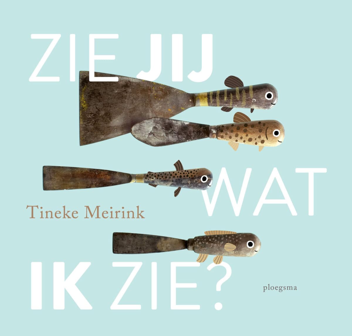 Zie jij wat ik zie? book