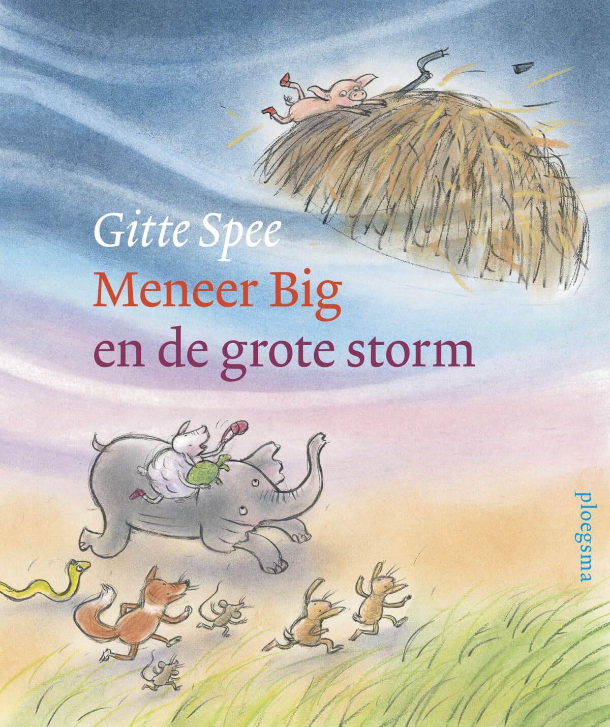 Meneer Big en de grote storm Natural Sciences Books