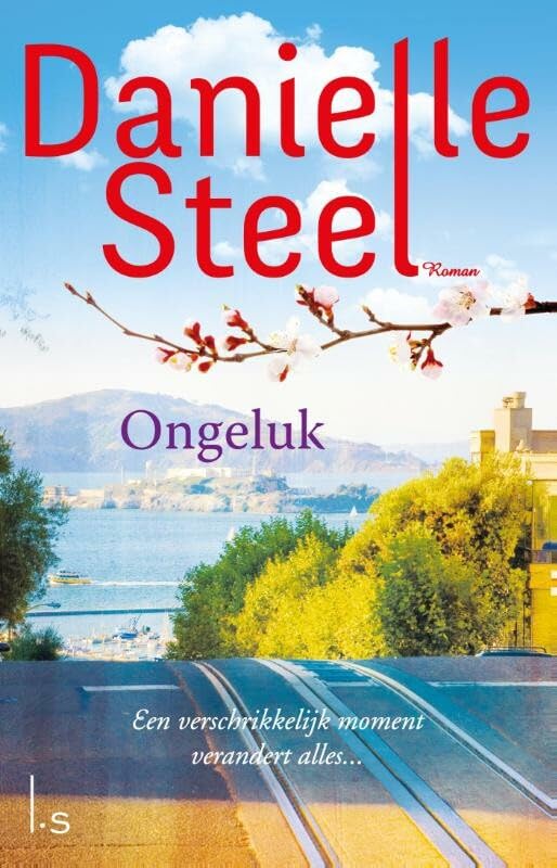 Ongeluk: één verschrikkelijk moment verandert alles... book