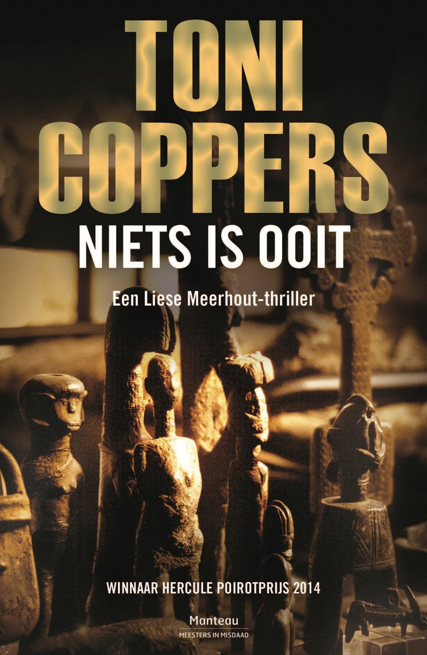 Niets is ooit: een Liese Meerhout-thriller book