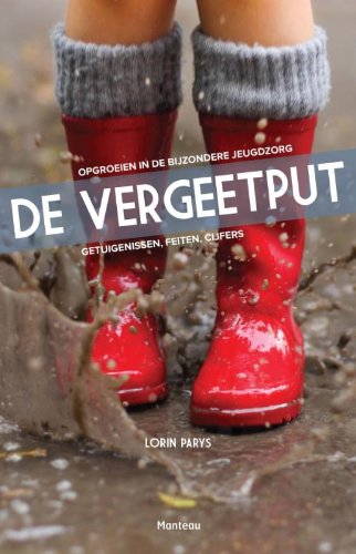 De vergeetput: opgroeien in de bijzondere jeugdzorg : getuigenissen, feiten, cijfers book