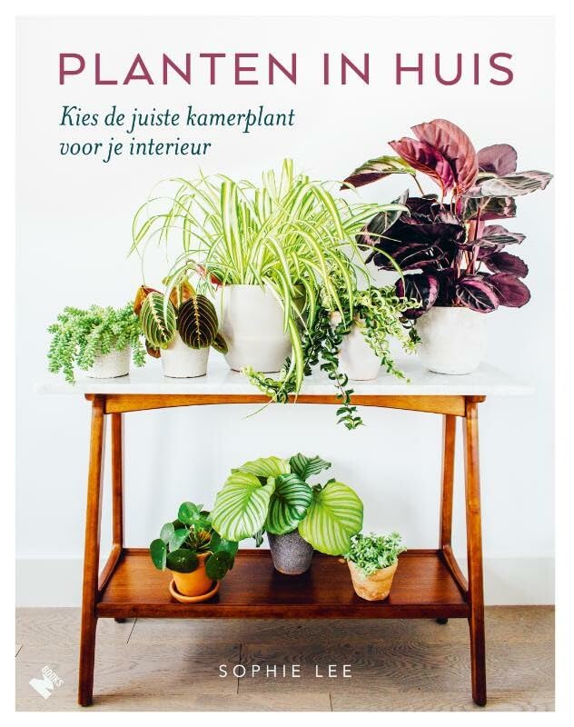Planten in huis: kies de juiste kamerplant voor je interieur Garden & Plants