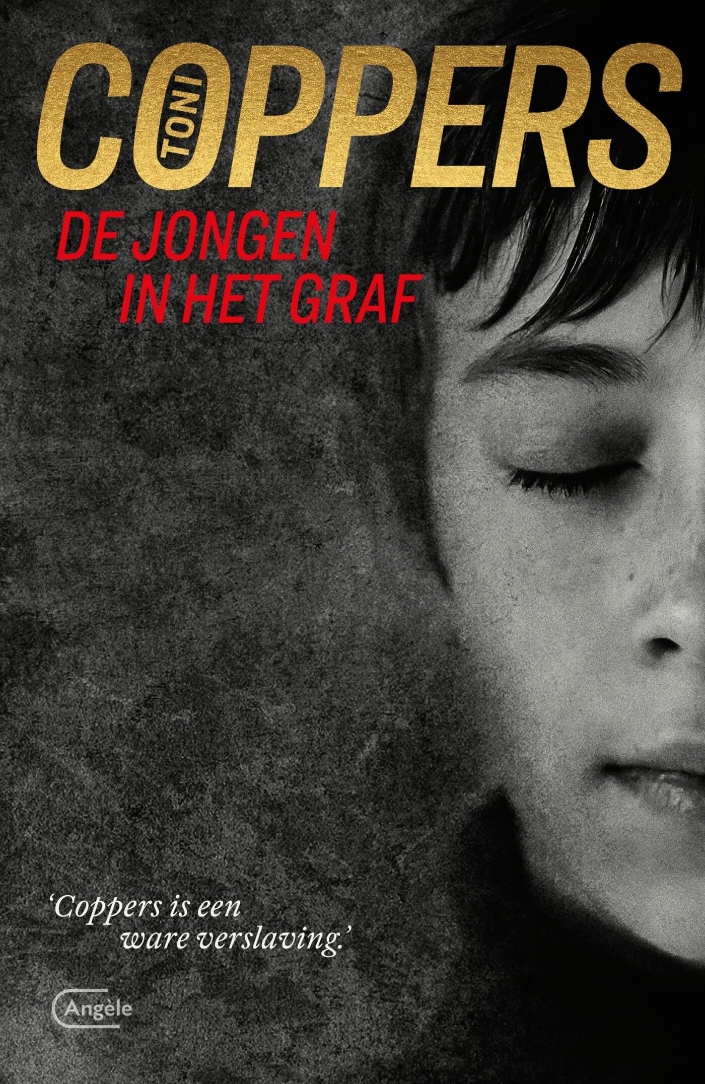 De jongen in het graf: een Liese Meerhout-thriller book