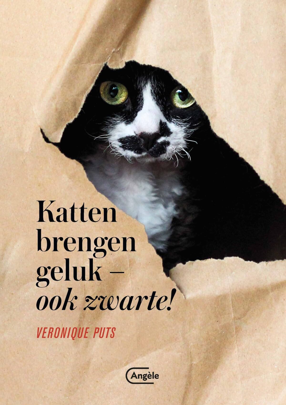Katten brengen geluk -ook zwarte! book