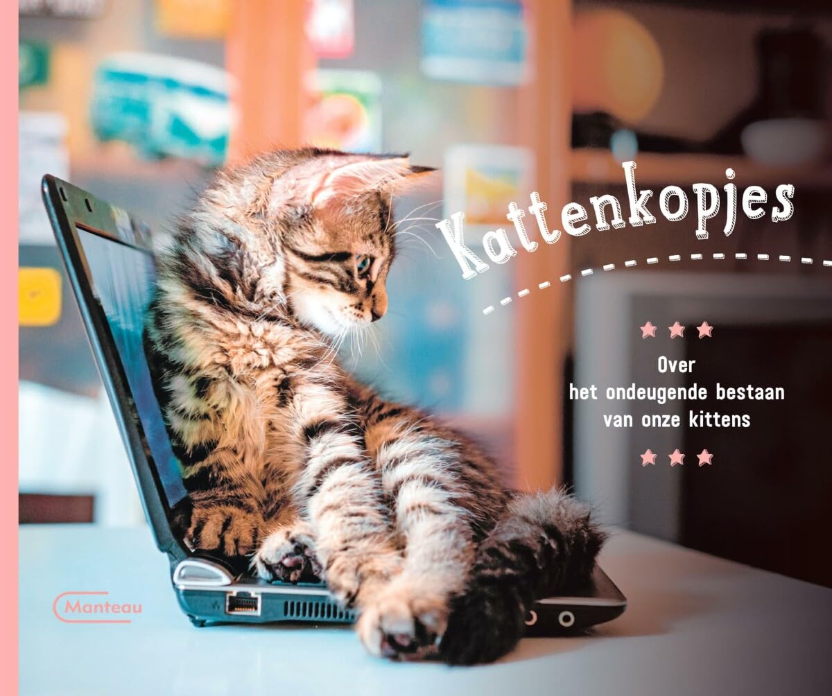 Kattenkopjes: over het ondeugende bestaan van onze kittens book