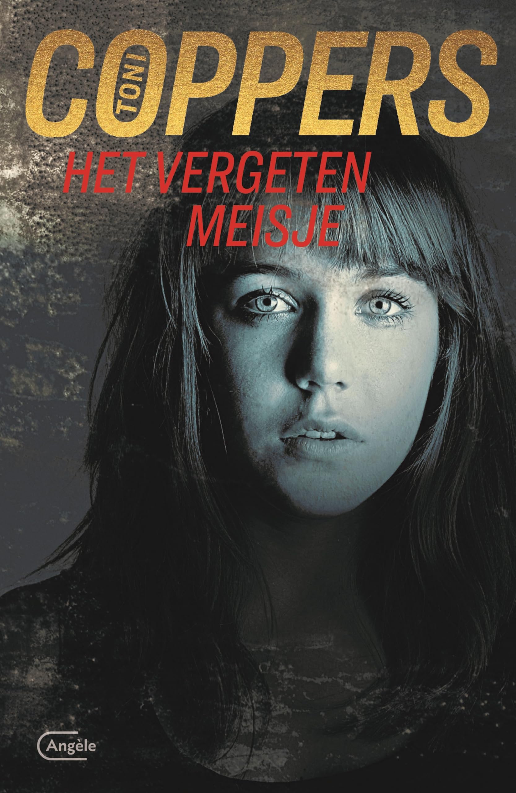Het vergeten meisje: een Liese Meerhout-thriller (Liese Meerhout, 16) Contemporary literature