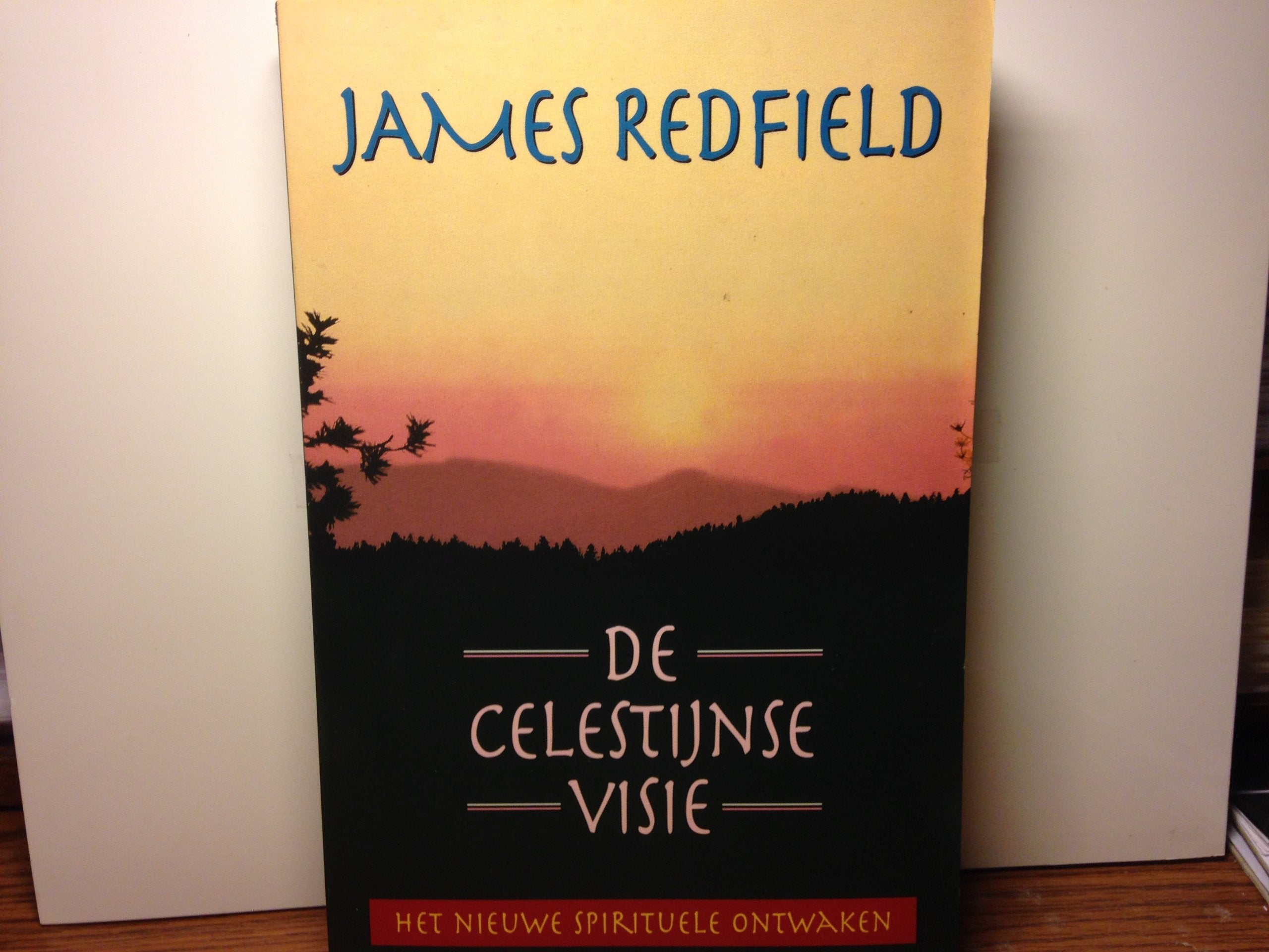De Celestijnse visie: het nieuwe spirituele ontwaken book