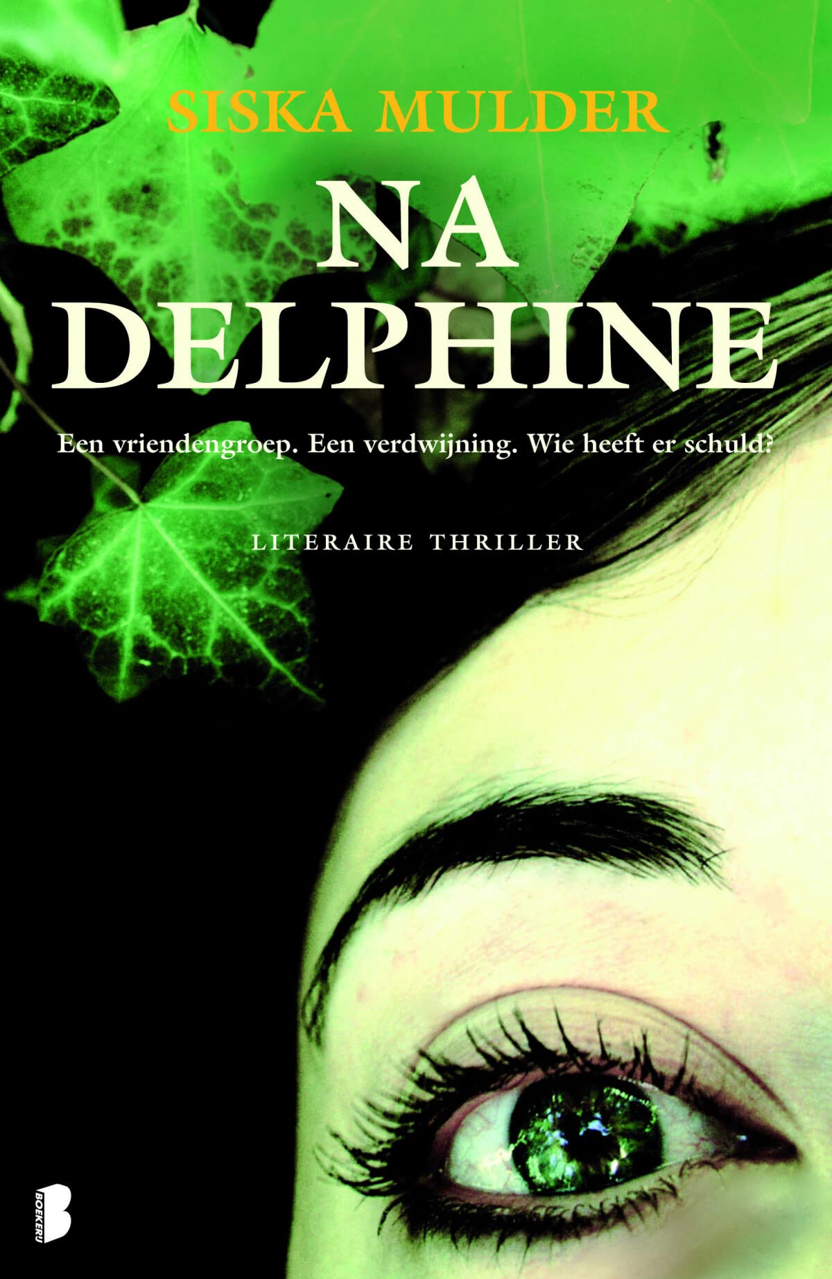 Na Delphine: Een vriendengroep. Een verdwijning. Wie heeft er schuld? book