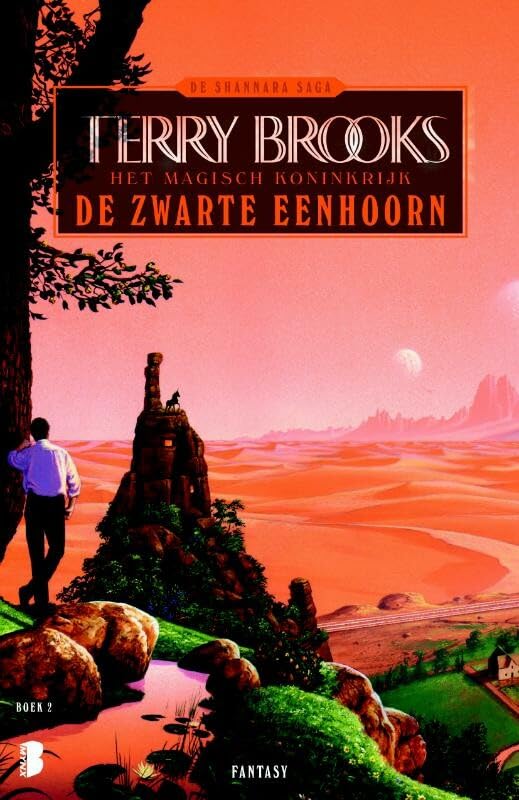De zwarte eenhoorn (Het magisch koninkrijk, 2) Contemporary literature