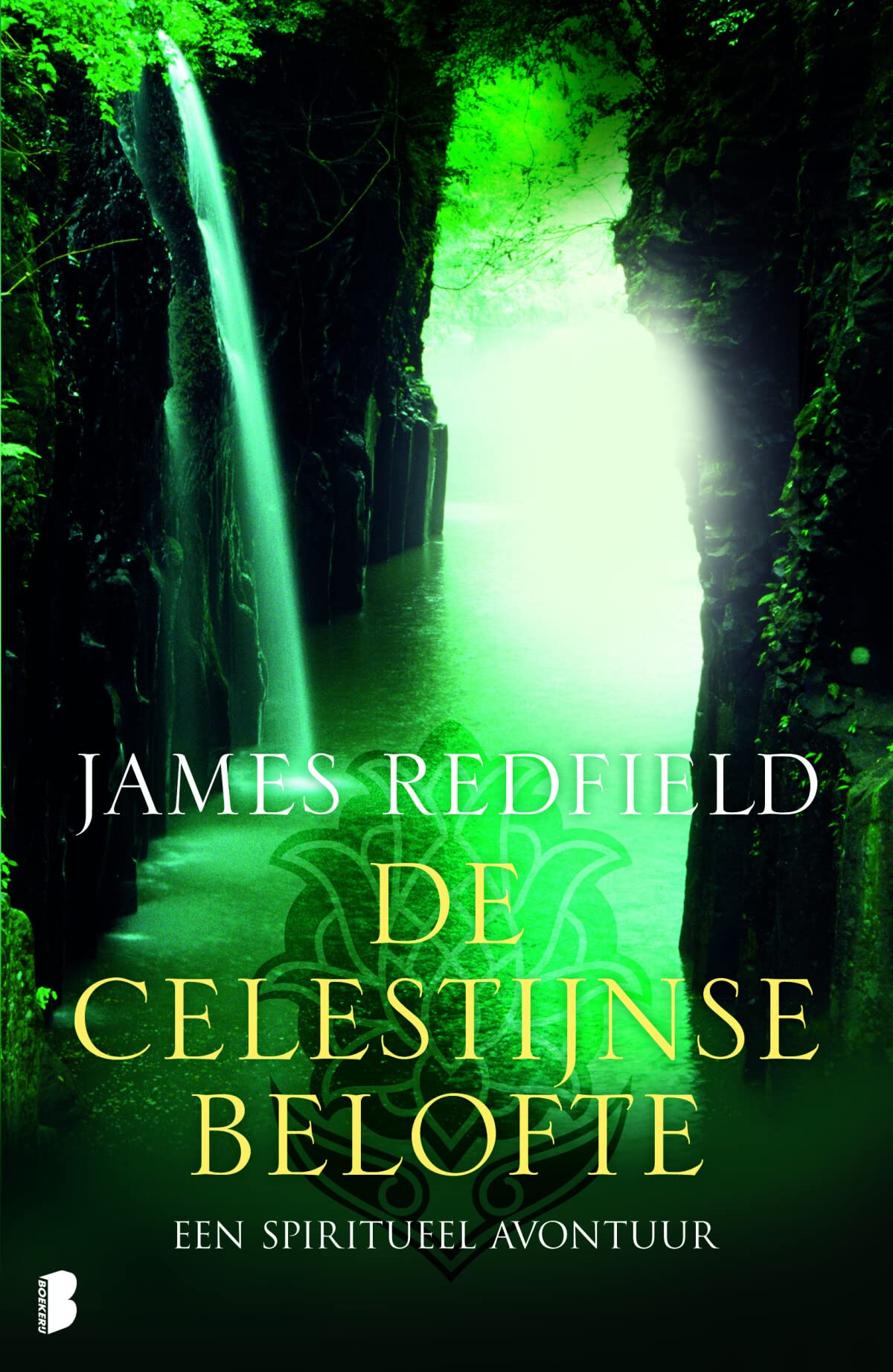 De Celestijnse belofte: Een spiritueel avontuur book