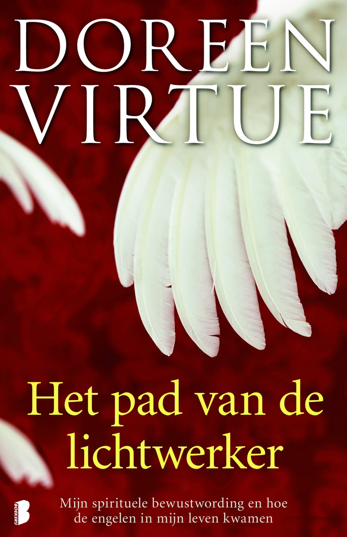 Het pad van de lichtwerker: Mijn spirituele bewustwording en hoe de engelen in mijn leven kwamen book