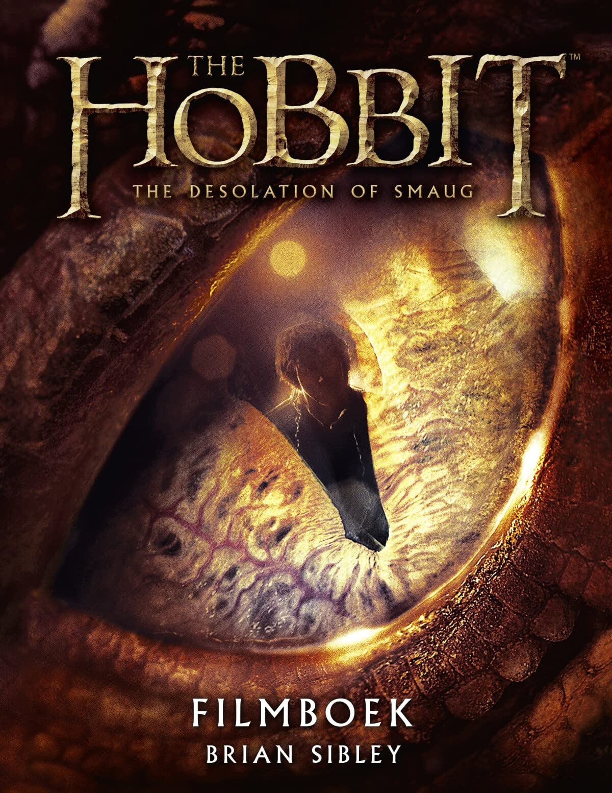 The hobbit - The Desolation of Smaug - filmboek book