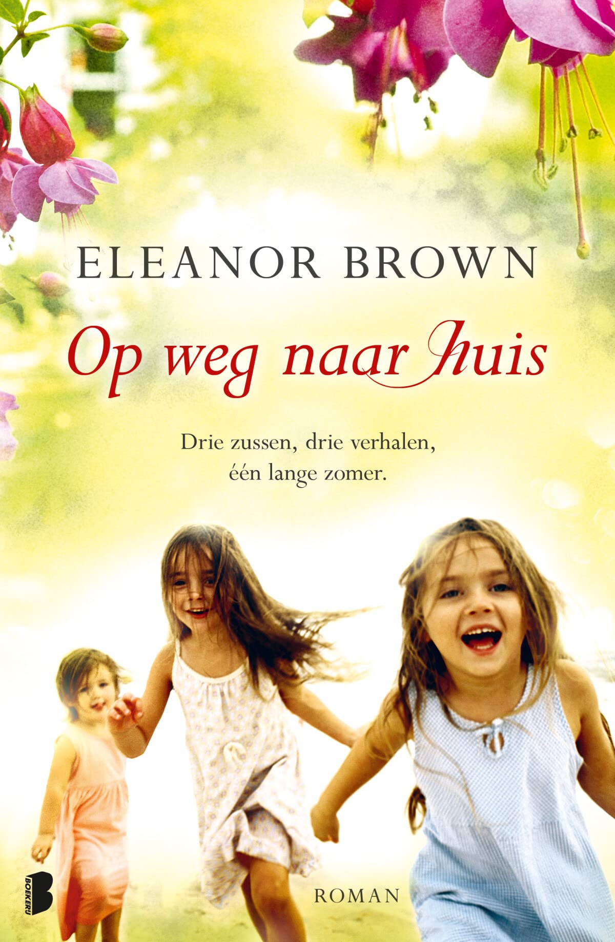 Op weg naar huis - Midprice: Drie zussen, drie verhalen, één lange zomer. Contemporary literature