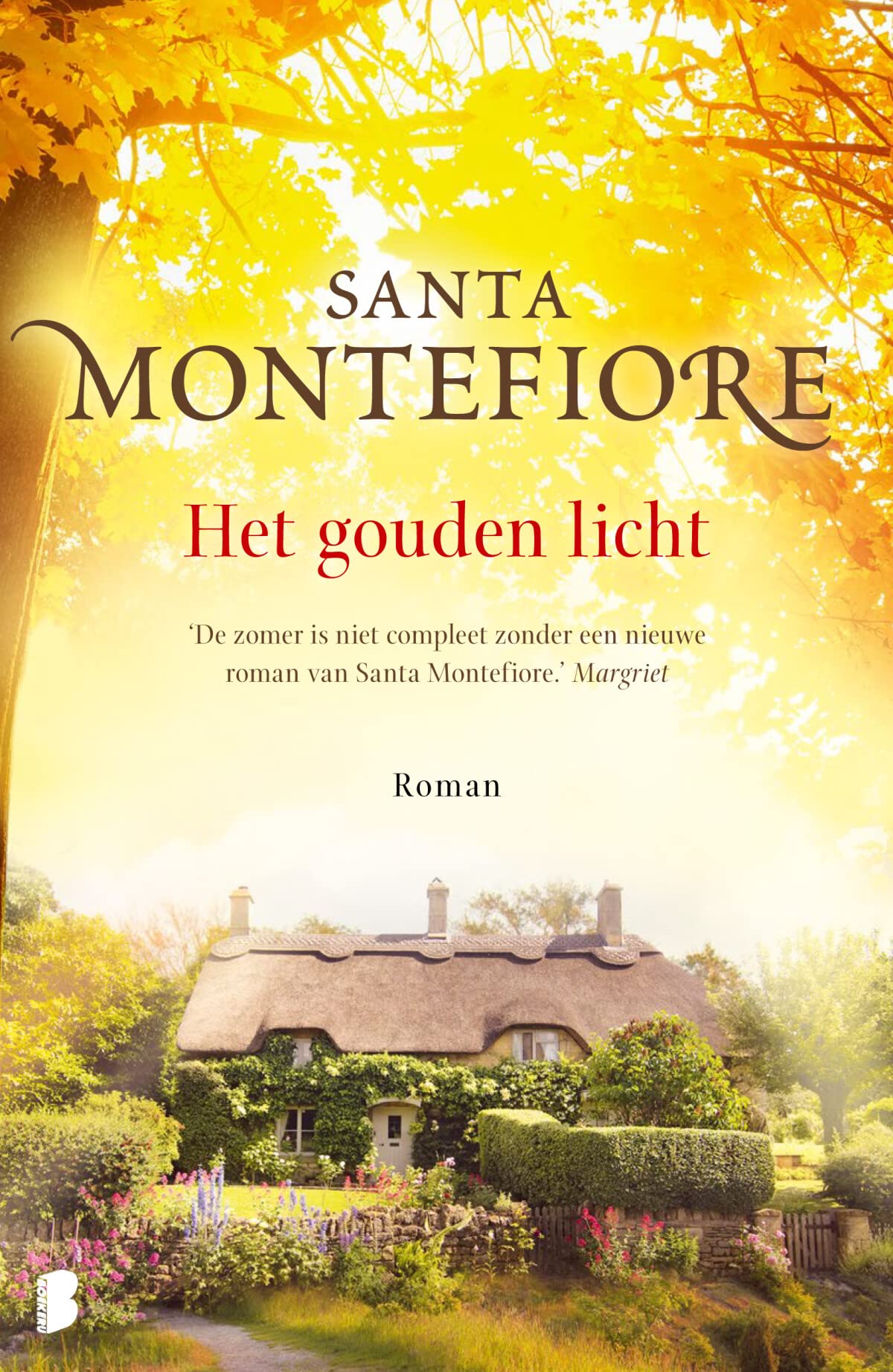 Het gouden licht: Een betoverend verhaal over rouw en hoop book