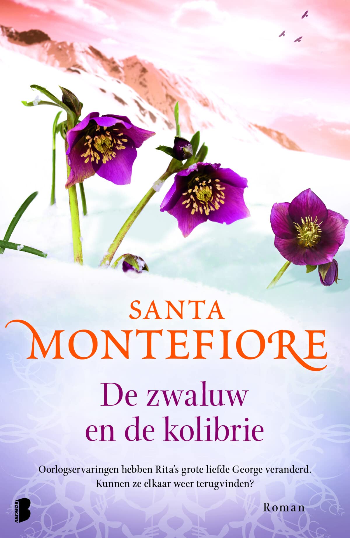 De zwaluw en de kolibrie book