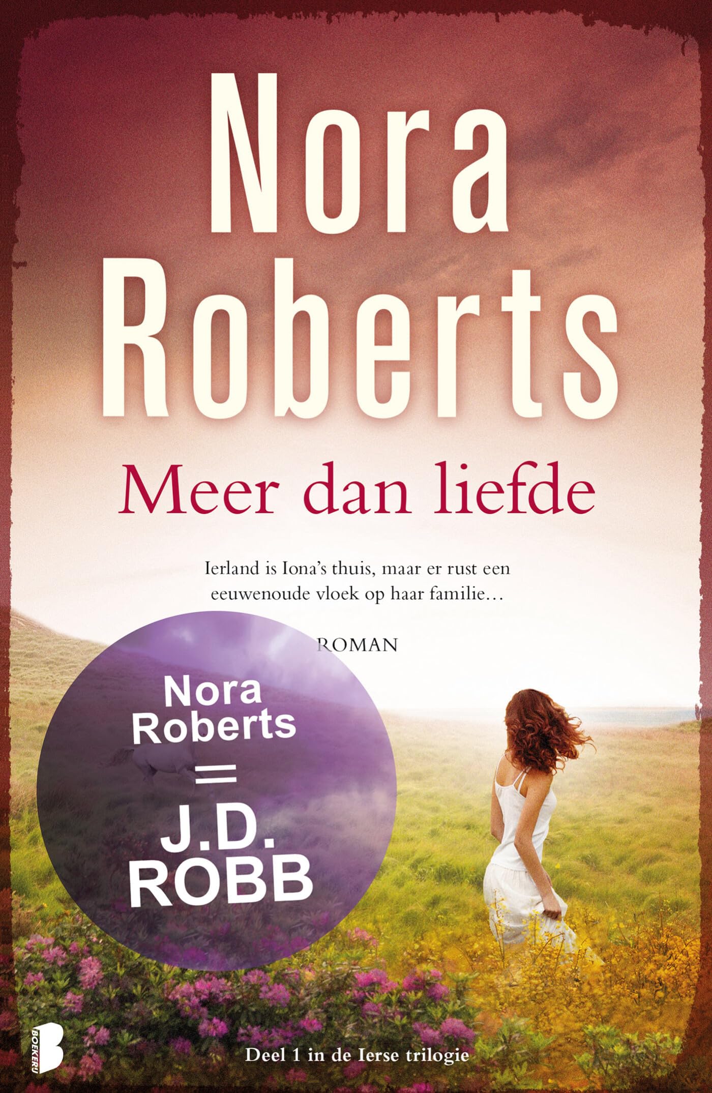 Meer dan liefde Contemporary literature Books