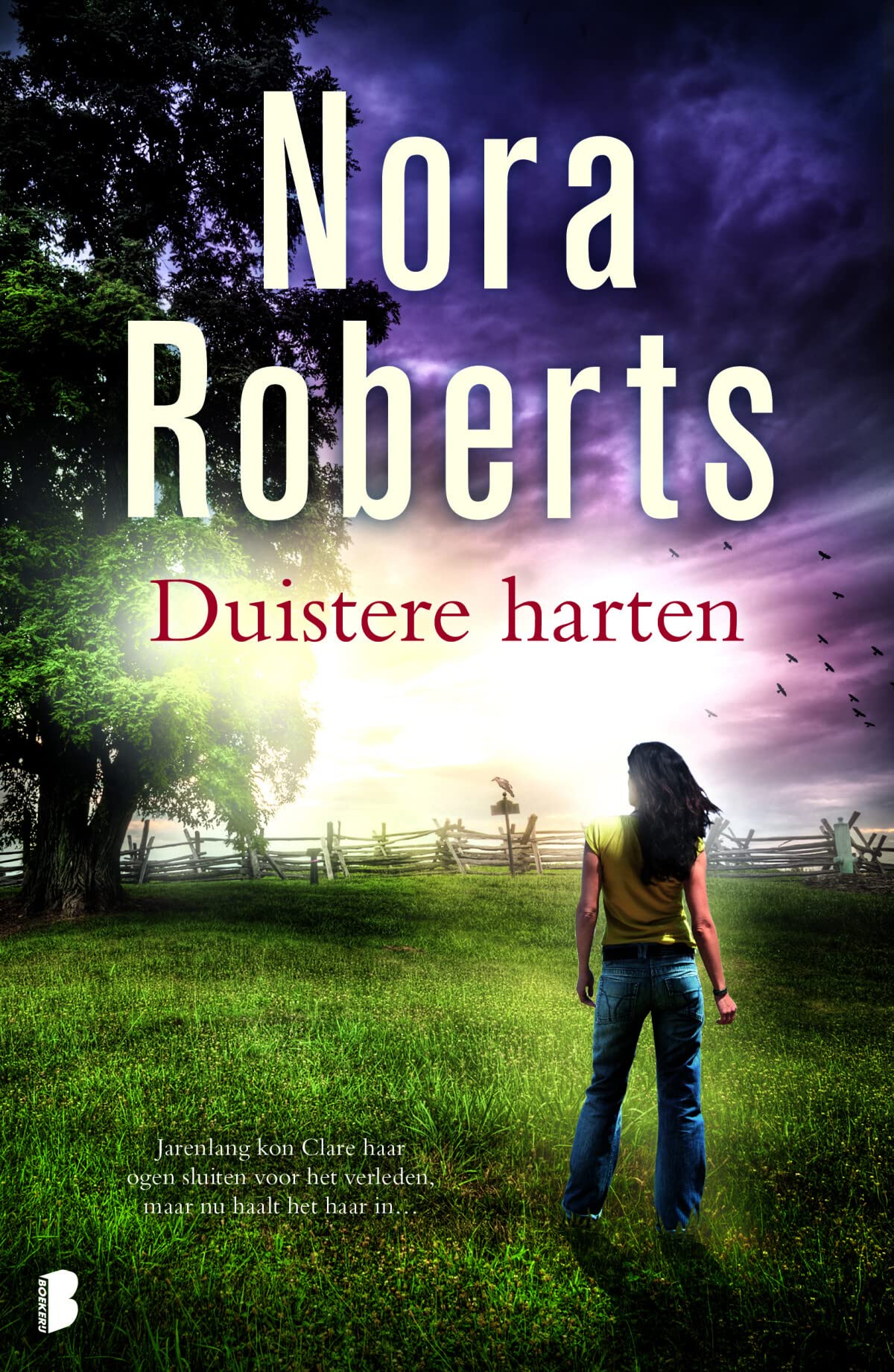 Duistere harten: Jarenlang kon Clare haar ogen sluiten voor het verleden, maar nu haalt het haar in... Contemporary literature