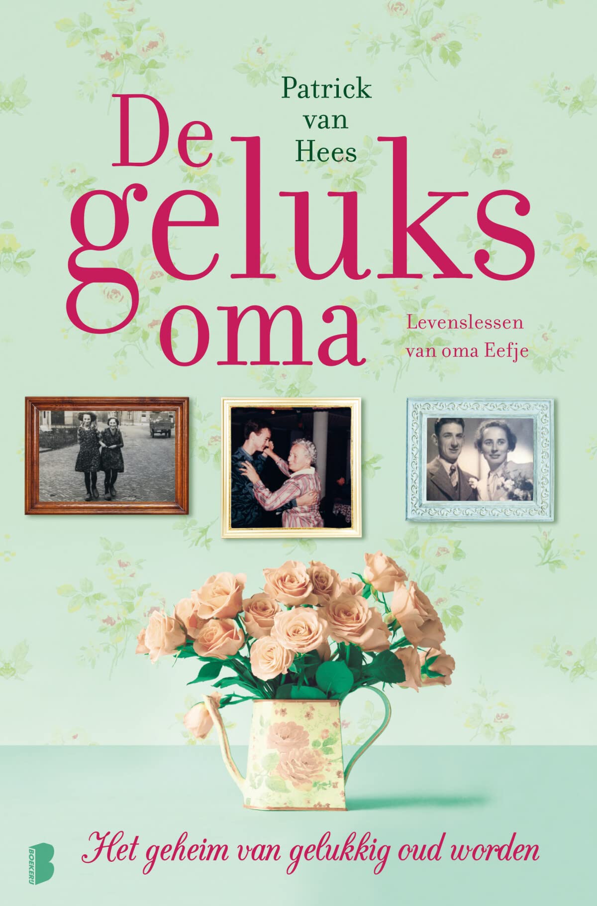 De geluksoma: Het geheim van gelukkig oud worden book