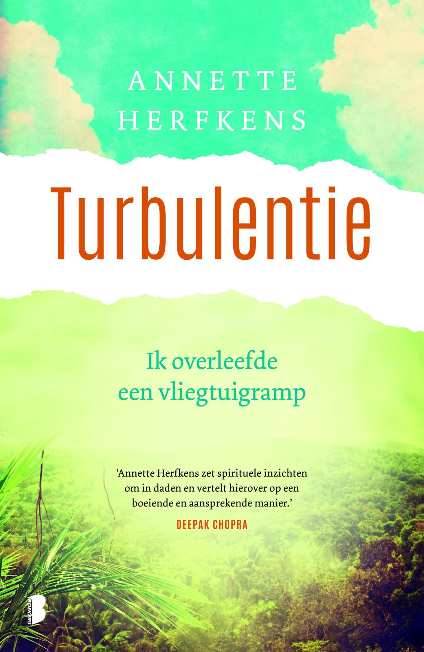 Turbulentie: ik overleefde een vliegtuigramp book