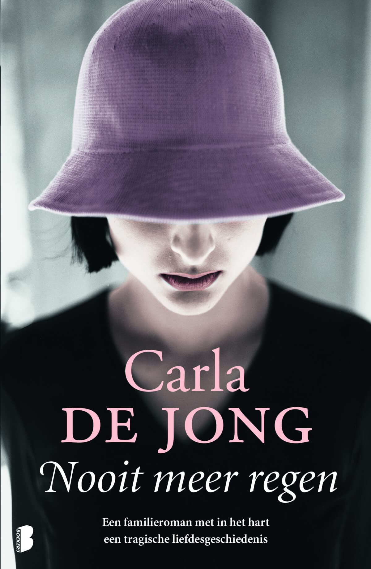 Nooit meer regen: een familieroman met in het hart een tragische liefdesgeschiedenis Contemporary literature